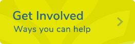 Get-Involved-button-full
